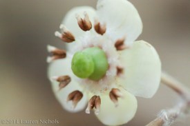 20140616-20140616-IMG_2037